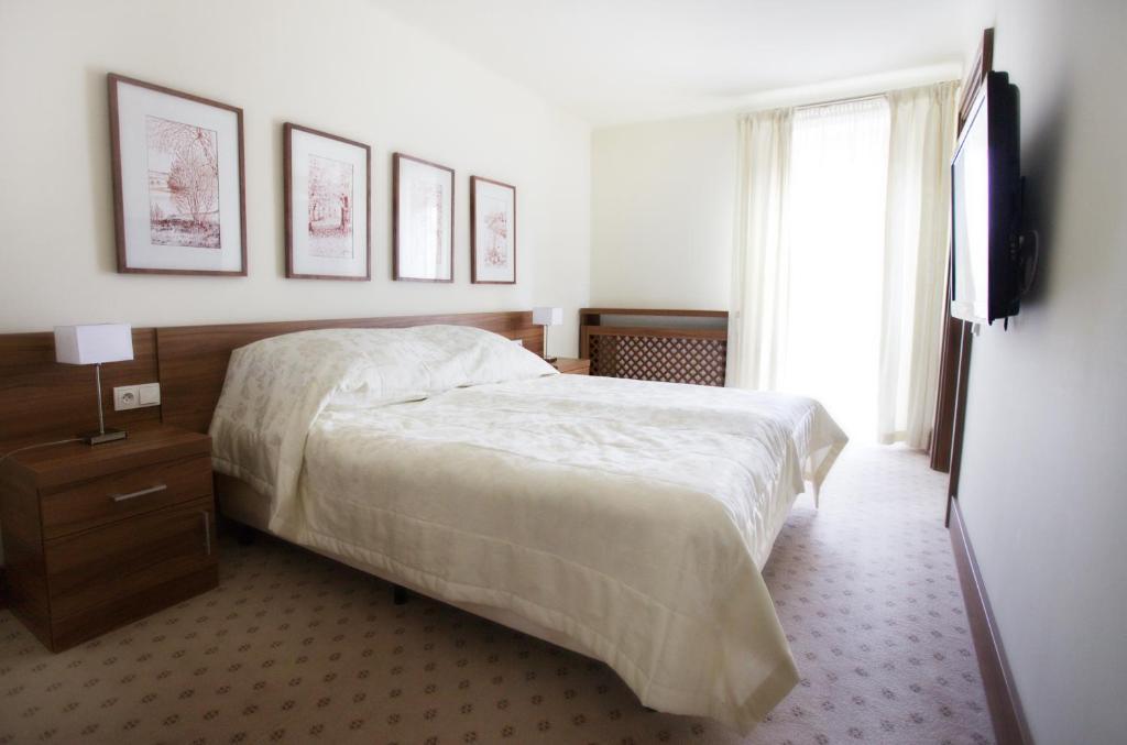 Hotel Termy Palacowe Наленчув Номер фото